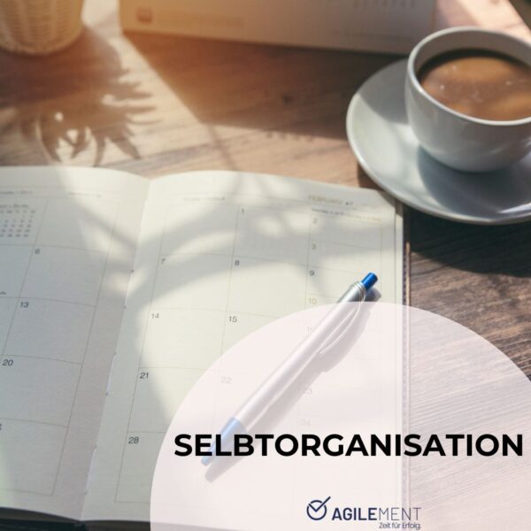 Online-Kurs "Selbstorganisation: Wo anfangen?"